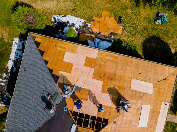 Best Gutter Installation and Roofing  in Lineville, AL